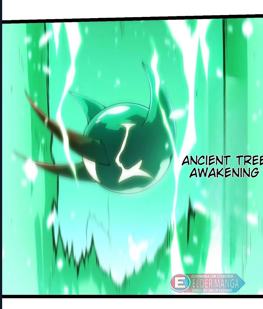 Evrimim Büyük Bir Ağaçla Başladı Bölüm 398 - Sayfa 13