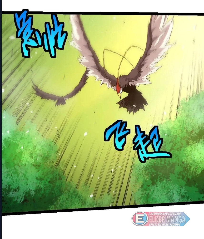 Evrimim Büyük Bir Ağaçla Başladı Bölüm 398 - Sayfa 19