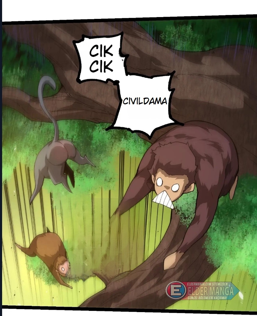 Evrimim Büyük Bir Ağaçla Başladı Bölüm 398 - Sayfa 20