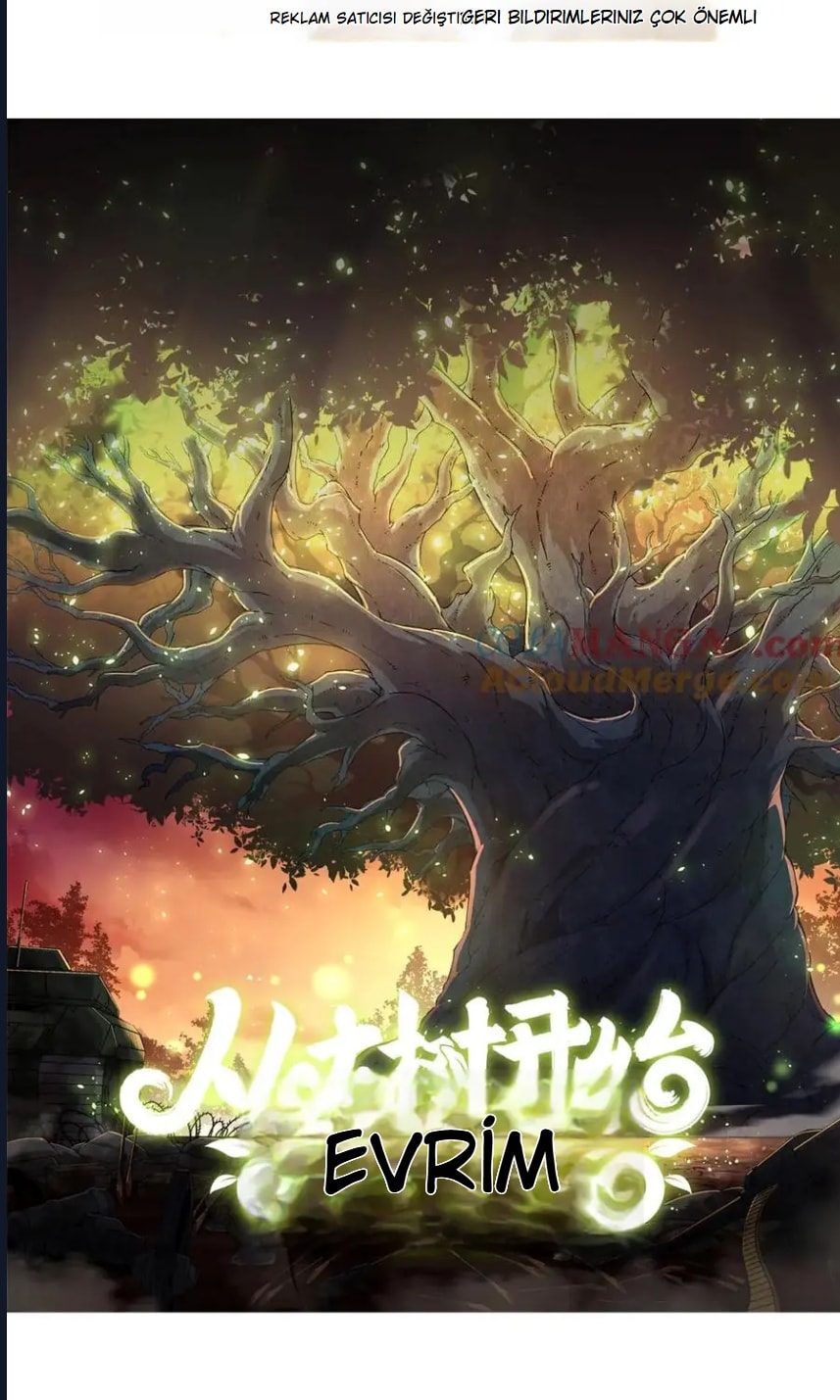 Evrimim Büyük Bir Ağaçla Başladı Bölüm 373 - Sayfa 1
