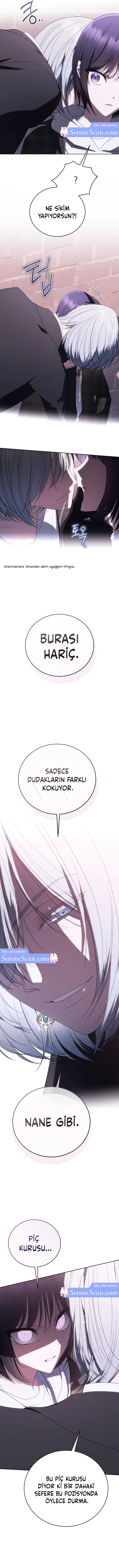 Sıralamacının Yaşam Yönergesi SON BÖLÜMÜ OKUMAYA GİT - Sayfa 3