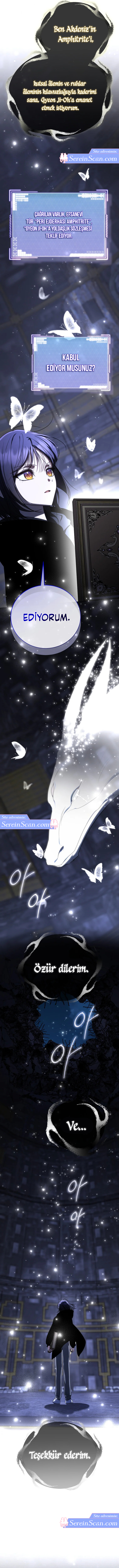 Sıralamacının Yaşam Yönergesi Bölüm 46 - Sayfa 5