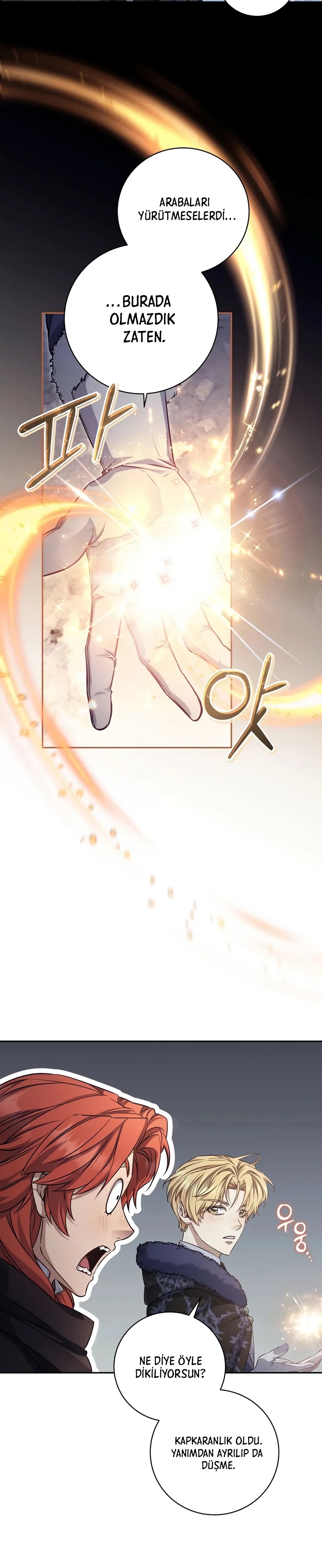 Kont’un Gayrimeşru Oğlu Bir Zamanlar İmparatordu Bölüm 71 - Sayfa 2