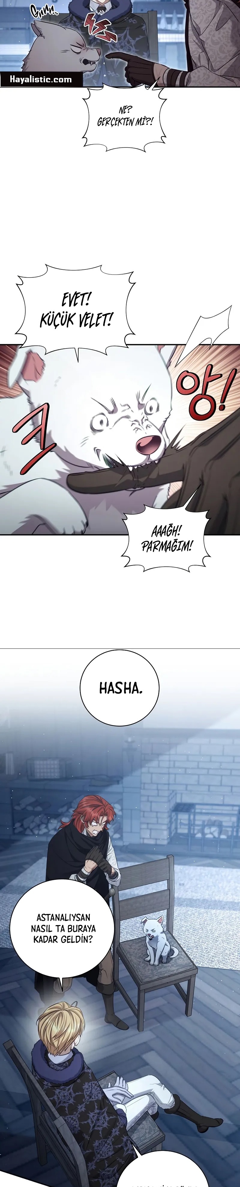 Kont’un Gayrimeşru Oğlu Bir Zamanlar İmparatordu Bölüm 71 - Sayfa 22