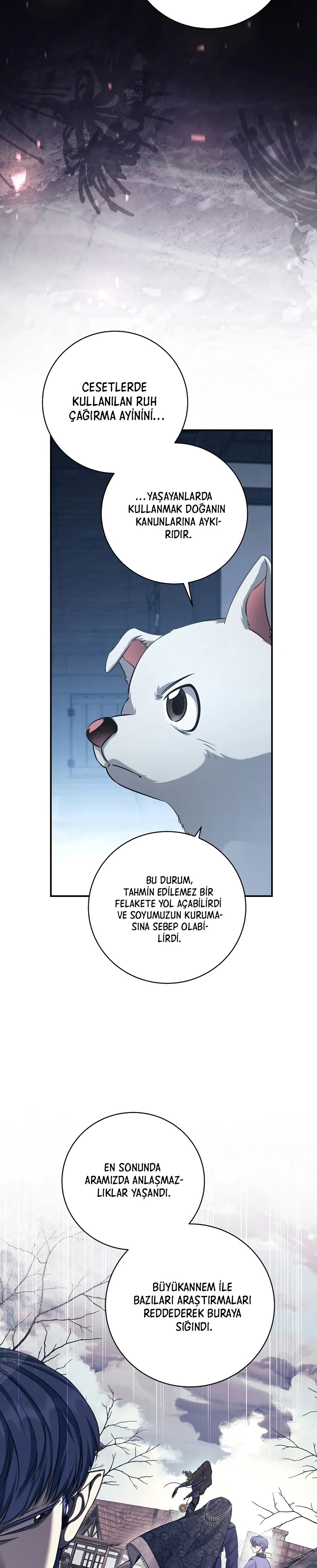 Kont’un Gayrimeşru Oğlu Bir Zamanlar İmparatordu Bölüm 71 - Sayfa 26