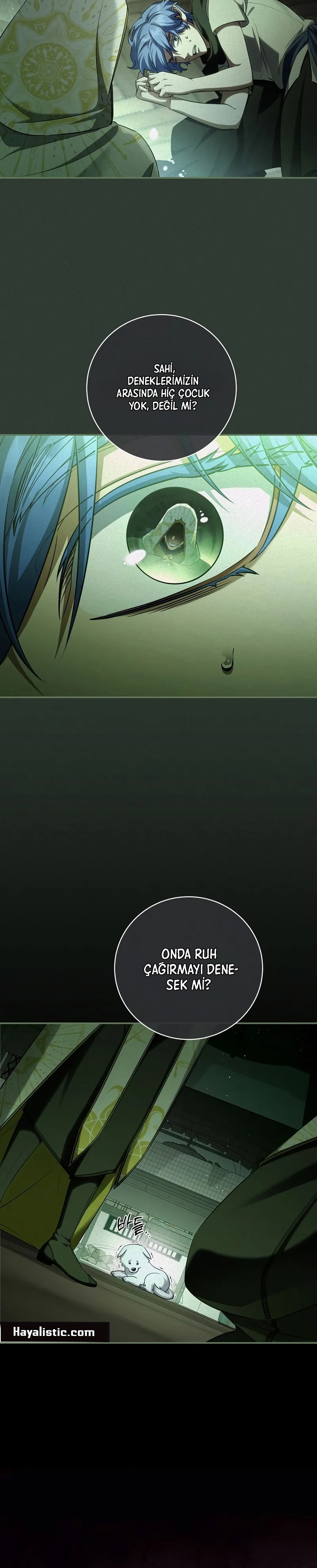 Kont’un Gayrimeşru Oğlu Bir Zamanlar İmparatordu Bölüm 71 - Sayfa 29