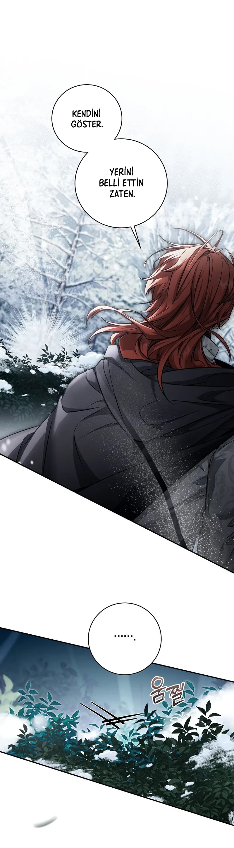 Kont’un Gayrimeşru Oğlu Bir Zamanlar İmparatordu Bölüm 67 - Sayfa 20