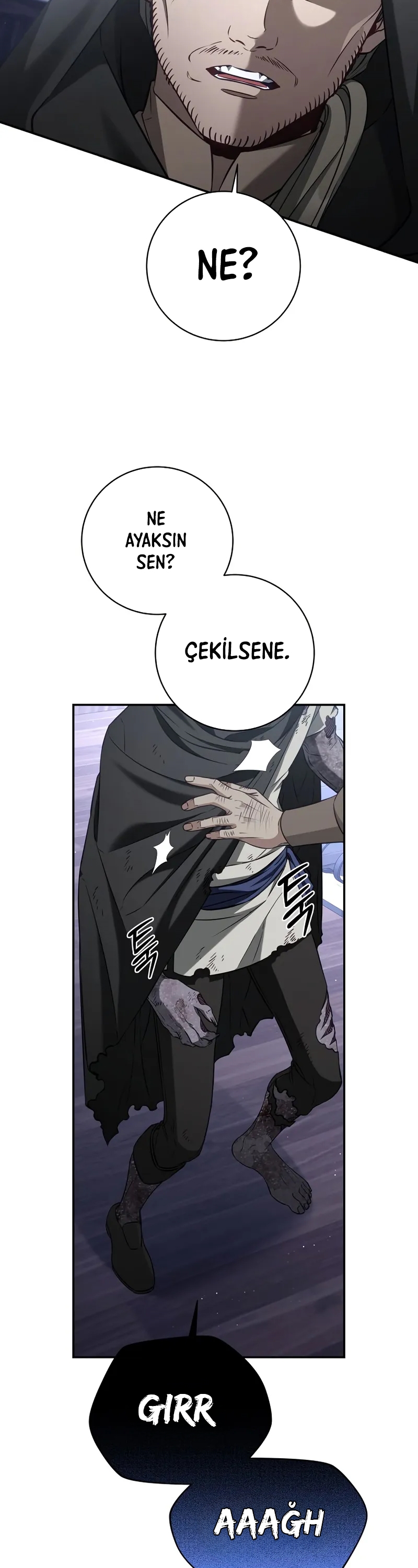 Kont’un Gayrimeşru Oğlu Bir Zamanlar İmparatordu Bölüm 69 - Sayfa 7