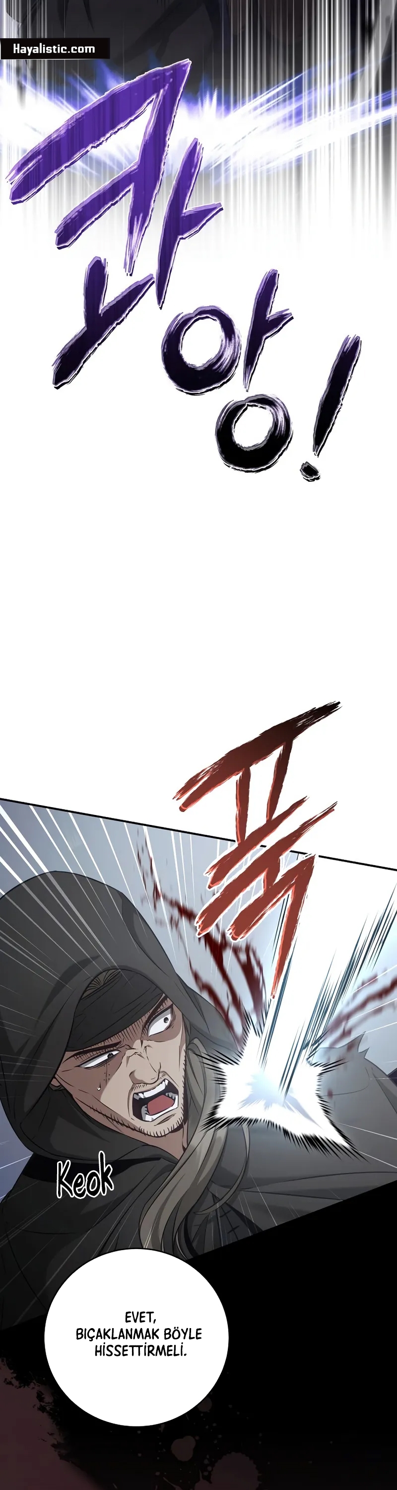 Kont’un Gayrimeşru Oğlu Bir Zamanlar İmparatordu Bölüm 69 - Sayfa 14