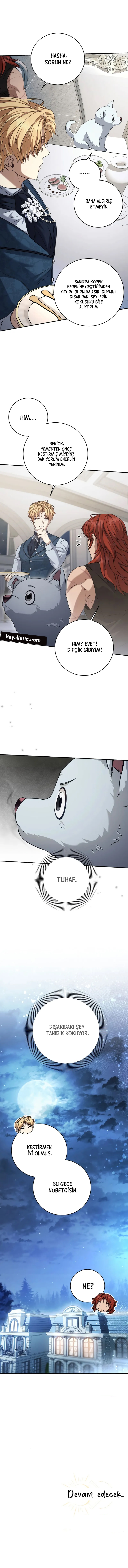 Kont’un Gayrimeşru Oğlu Bir Zamanlar İmparatordu Bölüm 79 - Sayfa 12