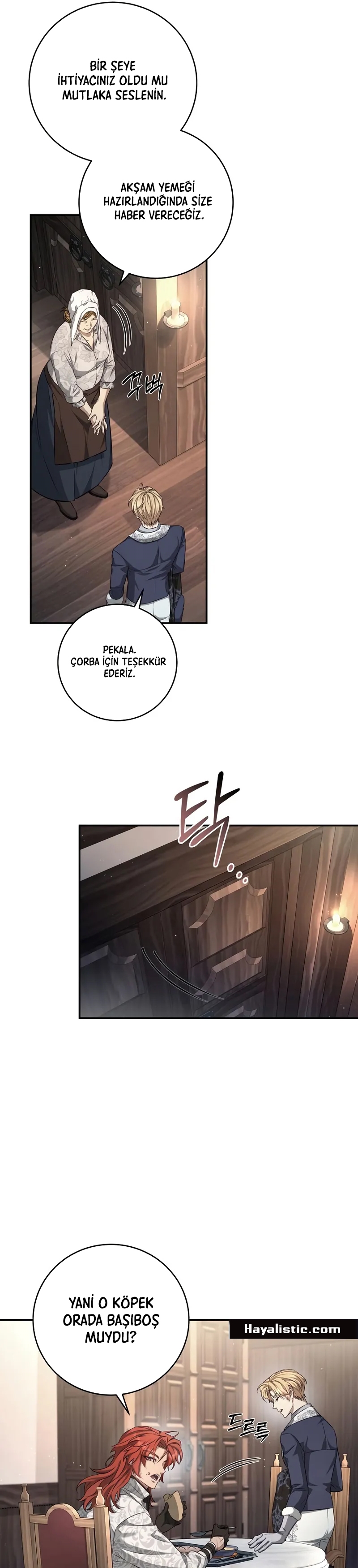 Kont’un Gayrimeşru Oğlu Bir Zamanlar İmparatordu Bölüm 68 - Sayfa 17