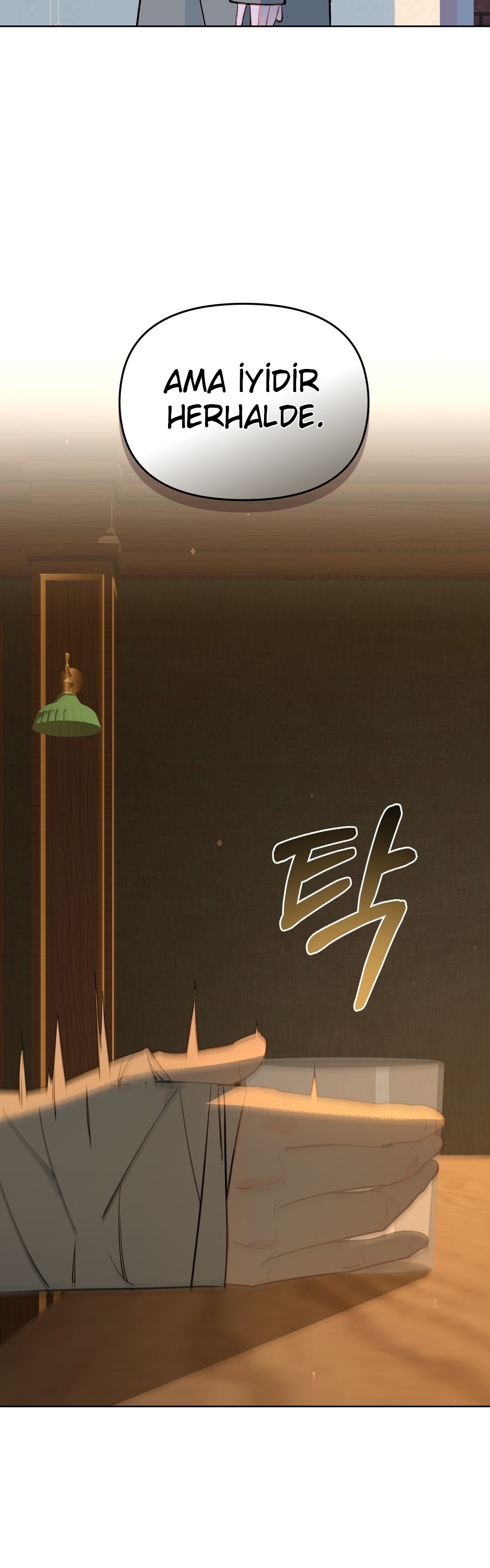 Şeytanla Anlaşma SON BÖLÜMÜ OKUMAYA GİT - Sayfa 13