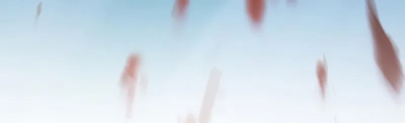 Erik Çiçeği Azizi Bölüm 32 - Sayfa 10