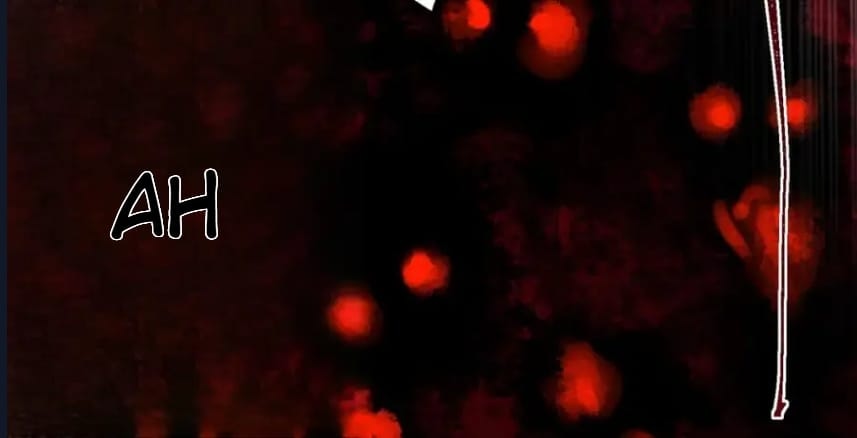 O Bir Şehir Efsanesi Bölüm 6 - Sayfa 75