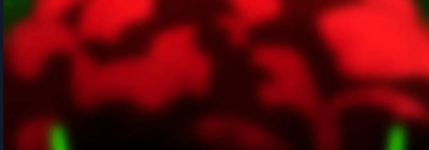 O Bir Şehir Efsanesi Bölüm 26 - Sayfa 95