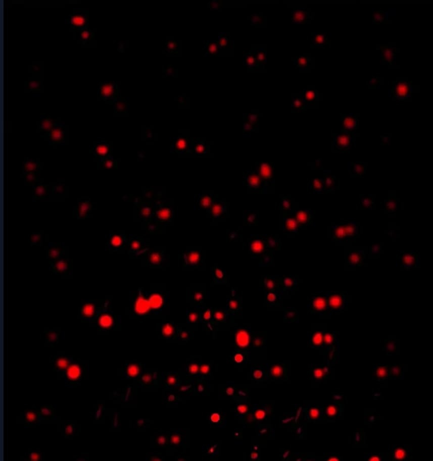 O Bir Şehir Efsanesi Bölüm 28 - Sayfa 77