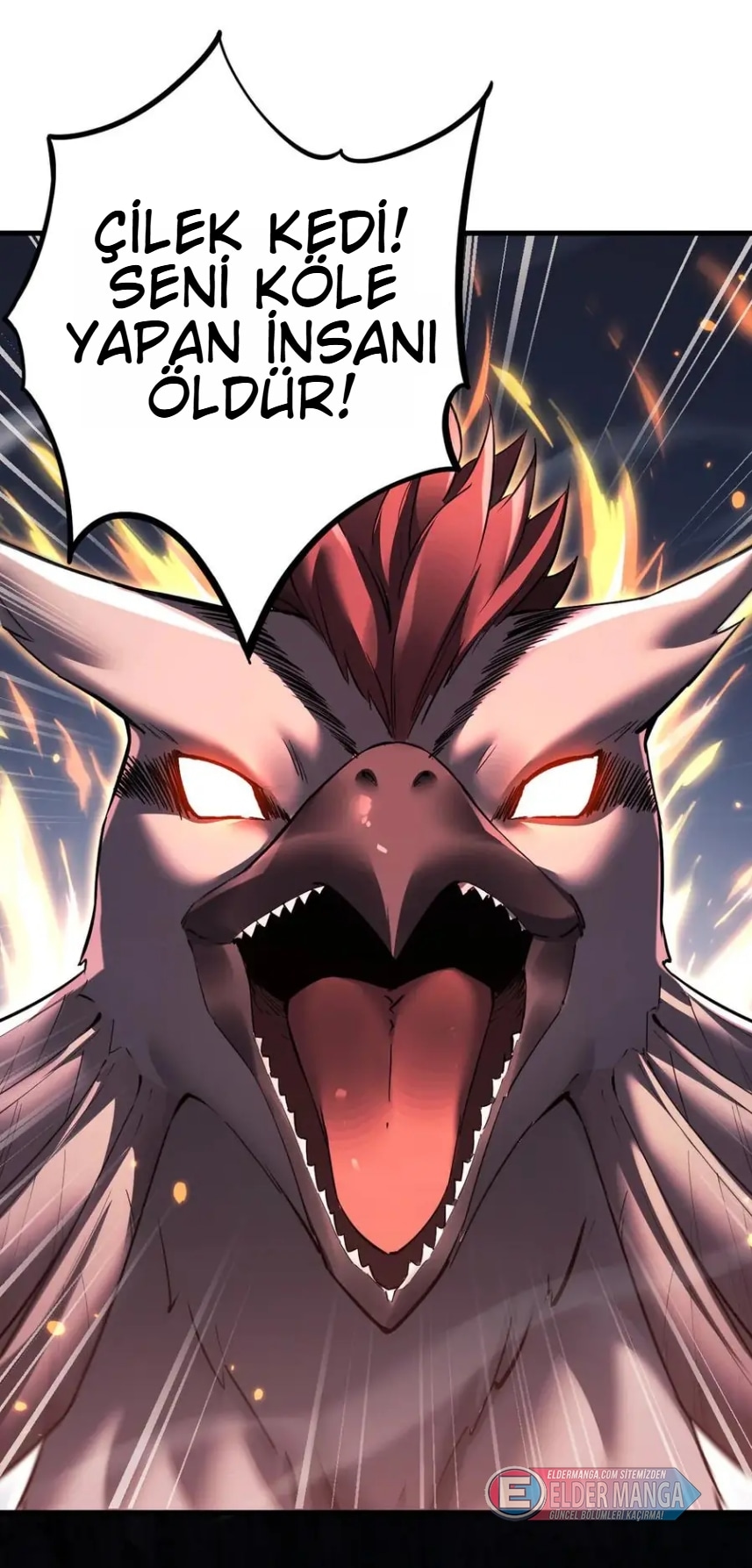 Evrim Kitabının Gözlemcisi Bölüm 23 - Sayfa 43