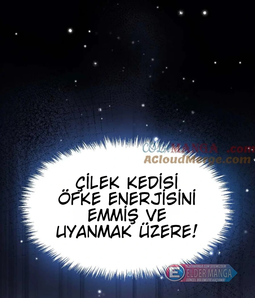 Evrim Kitabının Gözlemcisi Bölüm 2 - Sayfa 117