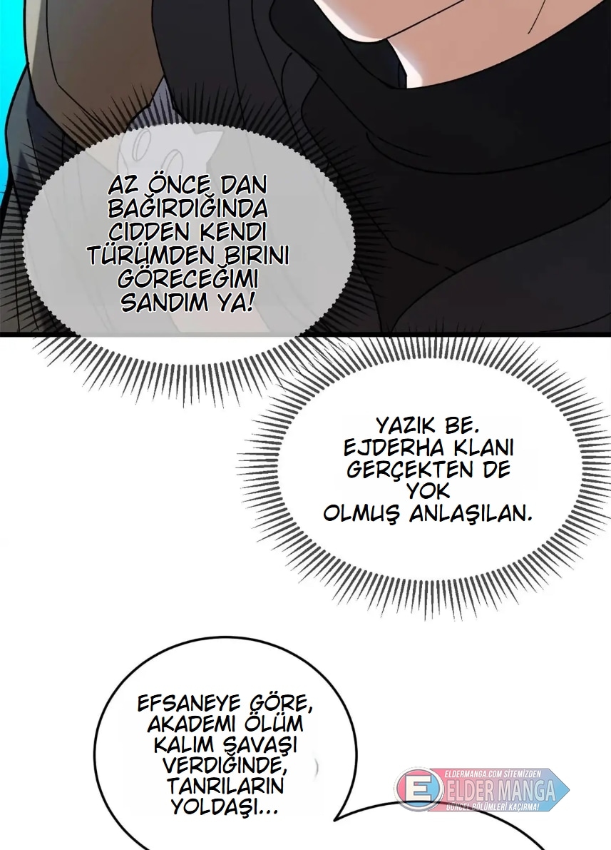 Benim Ejderha Sistemim! Bölüm 117 - Sayfa 45