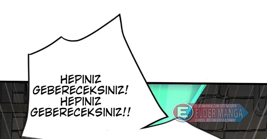 Benim Ejderha Sistemim! Bölüm 127 - Sayfa 13