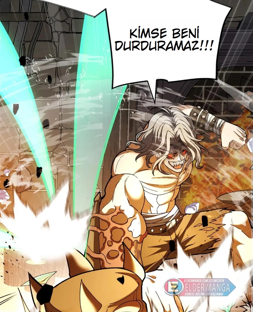 Benim Ejderha Sistemim! Bölüm 127 - Sayfa 14