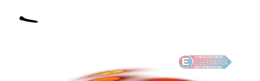 Benim Ejderha Sistemim! Bölüm 147 - Sayfa 11