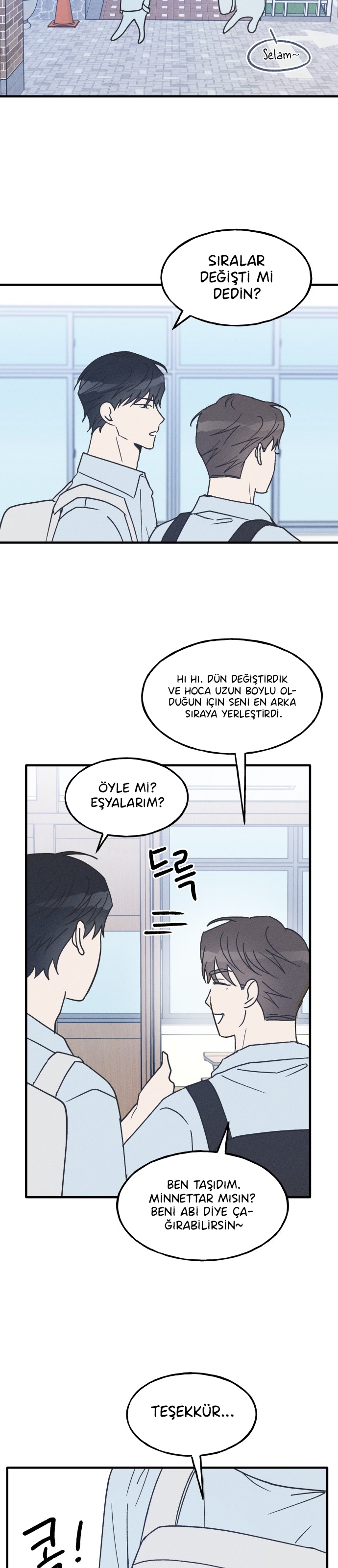 Yeni Bölüm 19 - Sayfa 19