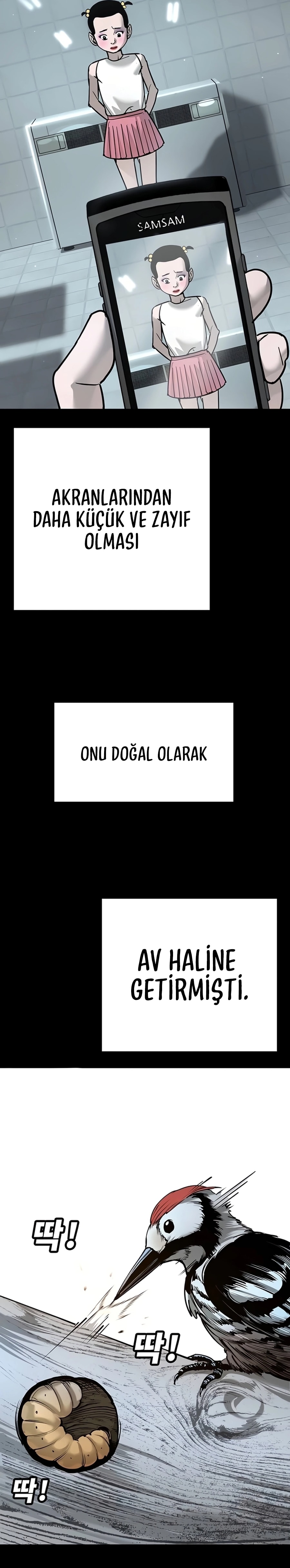 Zorba Avı Bölüm 28 - Sayfa 3