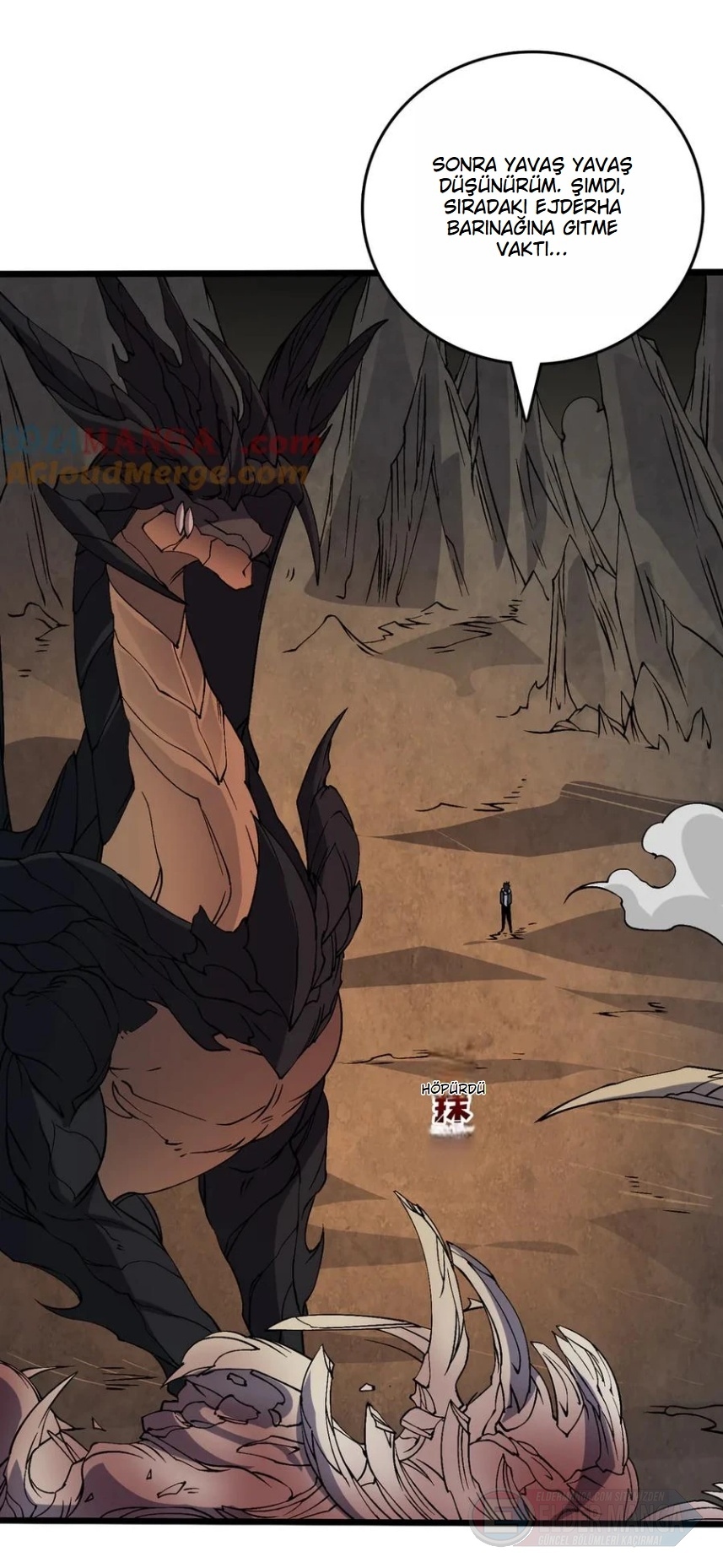 Kara Ejderha Boss’una Dönüştüm ve Artık Her Şeye Hükmediyorum Bölüm 45 - Sayfa 19