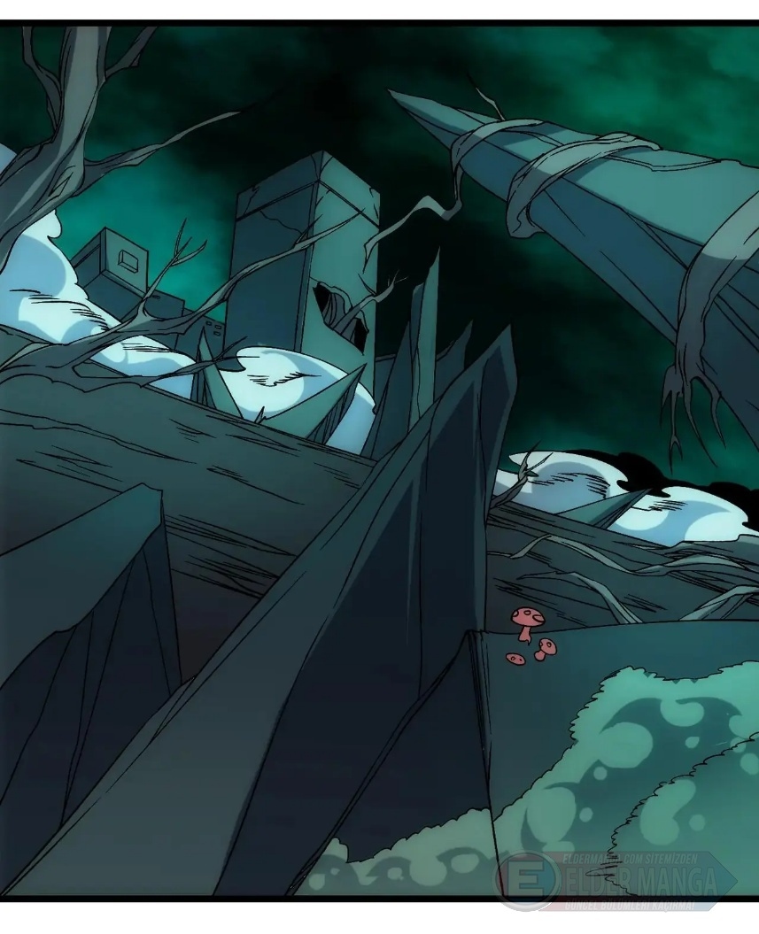 Kara Ejderha Boss’una Dönüştüm ve Artık Her Şeye Hükmediyorum Bölüm 70 - Sayfa 13