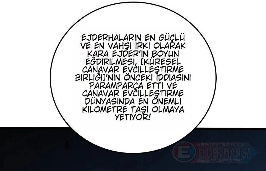 Kara Ejderha Boss’una Dönüştüm ve Artık Her Şeye Hükmediyorum Bölüm 36 - Sayfa 13