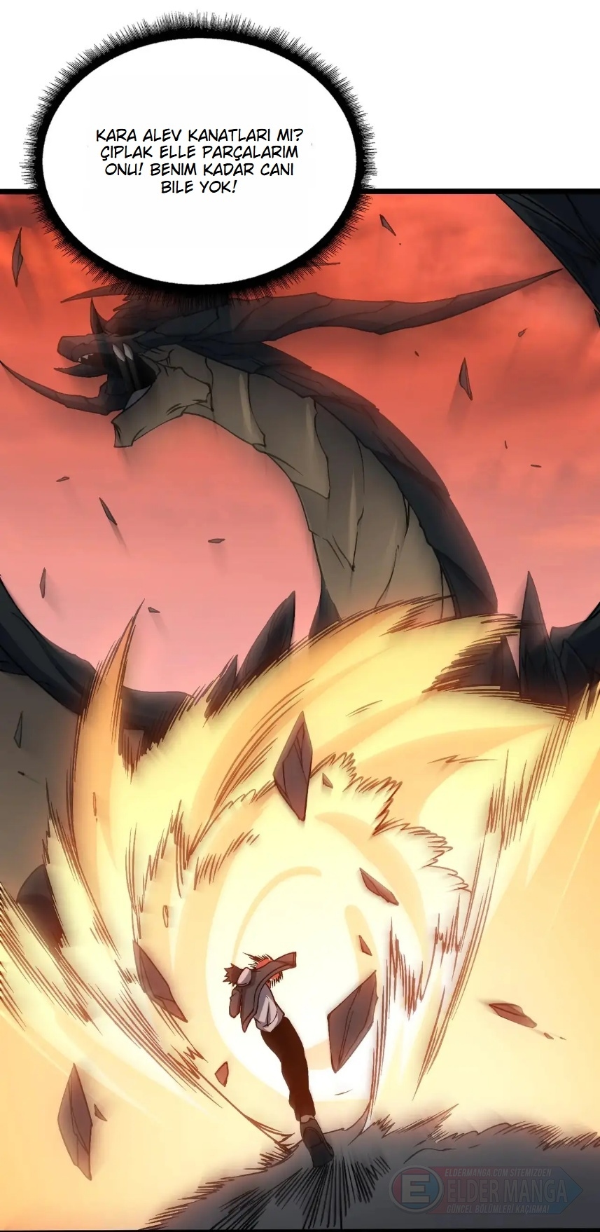 Kara Ejderha Boss’una Dönüştüm ve Artık Her Şeye Hükmediyorum Bölüm 41 - Sayfa 19