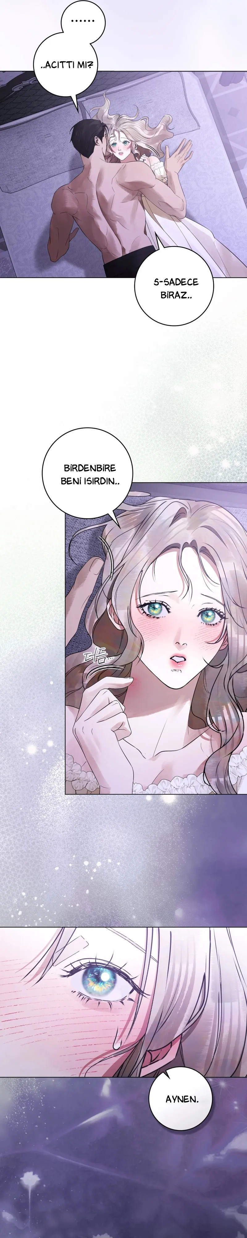 Hınzır Koca Bölüm 29 - Sayfa 17