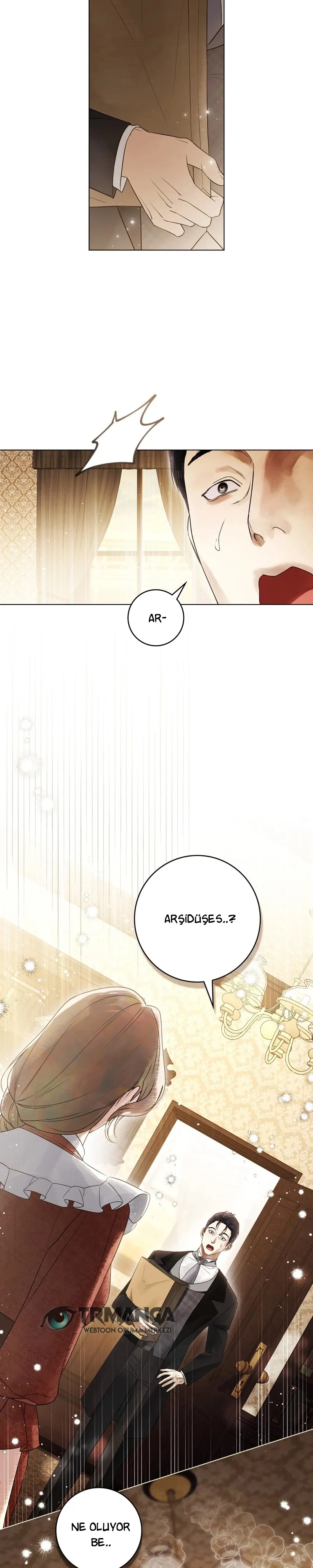 Hınzır Koca Bölüm 31 - Sayfa 5