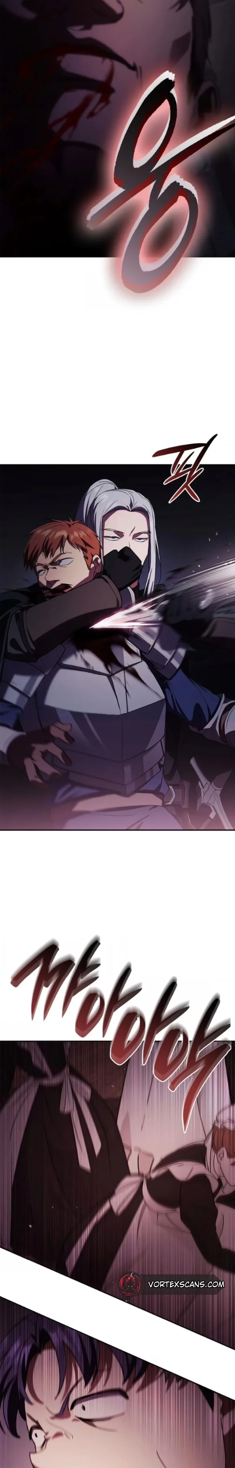 Paralı Askerin Soylular Arasında Yeniden Doğuşu Bölüm 24 - Sayfa 29