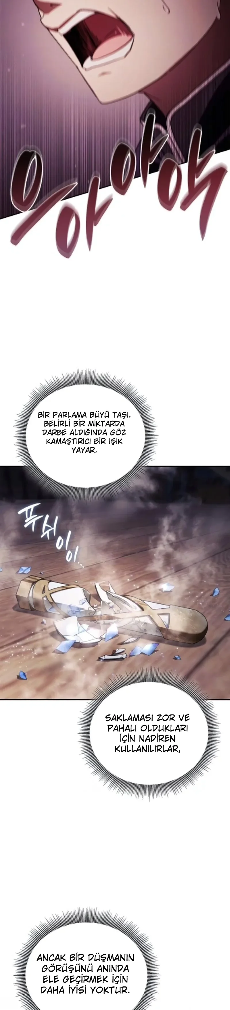 Paralı Askerin Soylular Arasında Yeniden Doğuşu Bölüm 24 - Sayfa 30