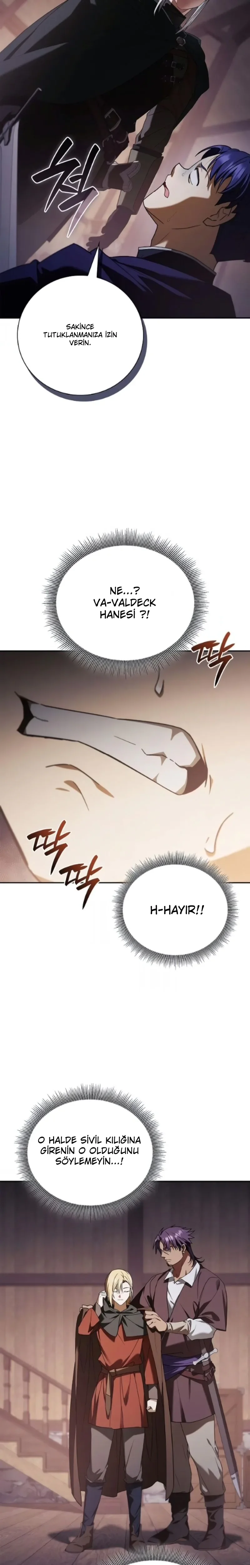 Paralı Askerin Soylular Arasında Yeniden Doğuşu Bölüm 24 - Sayfa 35