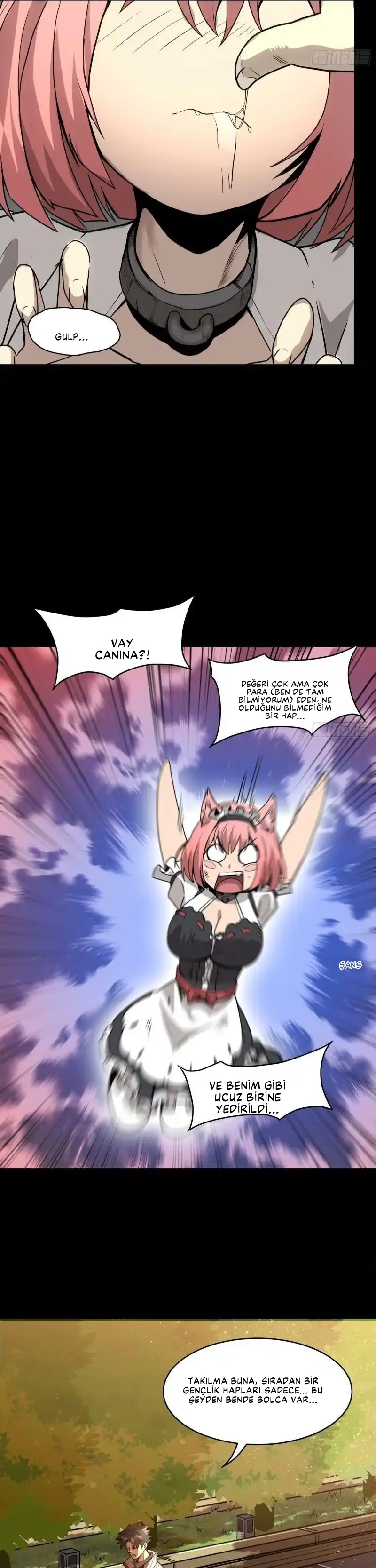 Yıldız Zırhlı Ruh Savaşçısı Bölüm 67 - Sayfa 14