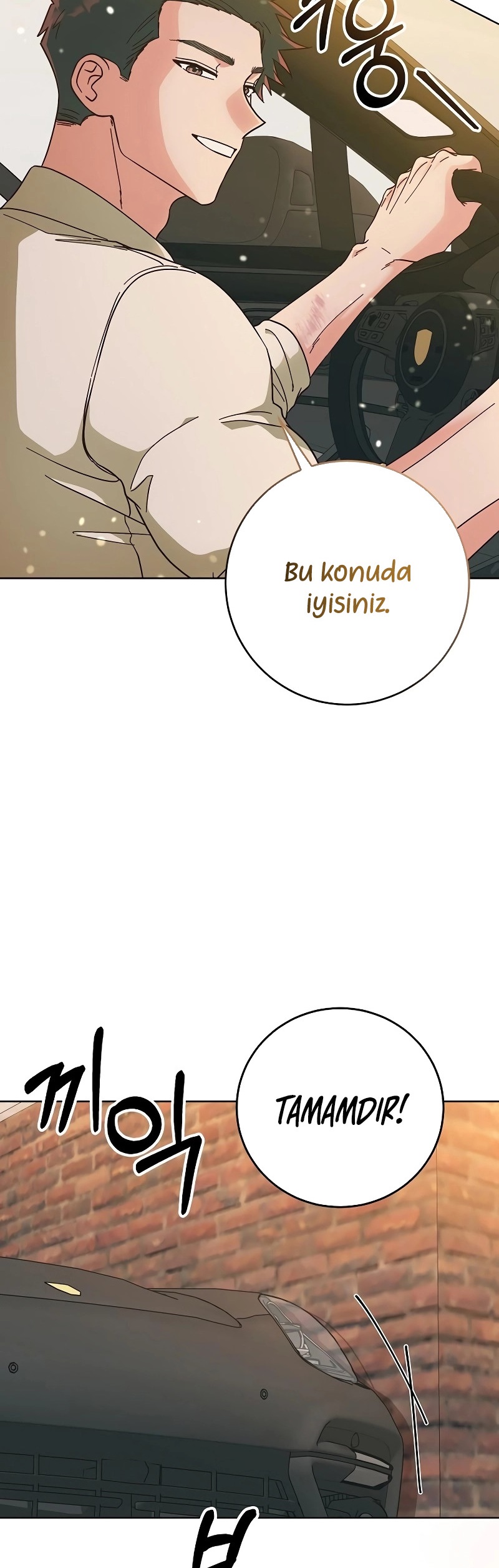 Bahar Ateşi Bölüm 8 - Sayfa 17