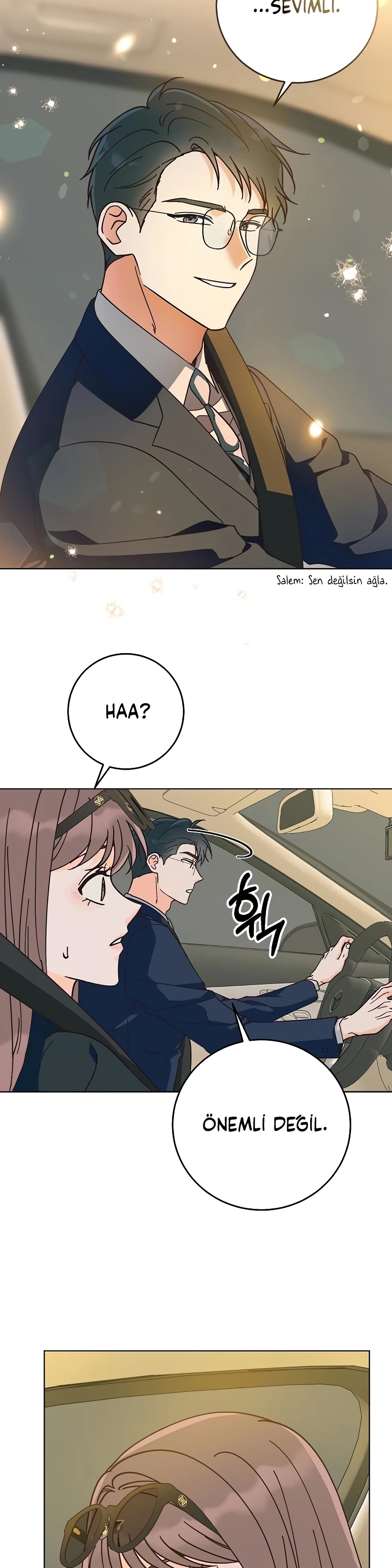 Bahar Ateşi Bölüm 20 - Sayfa 6