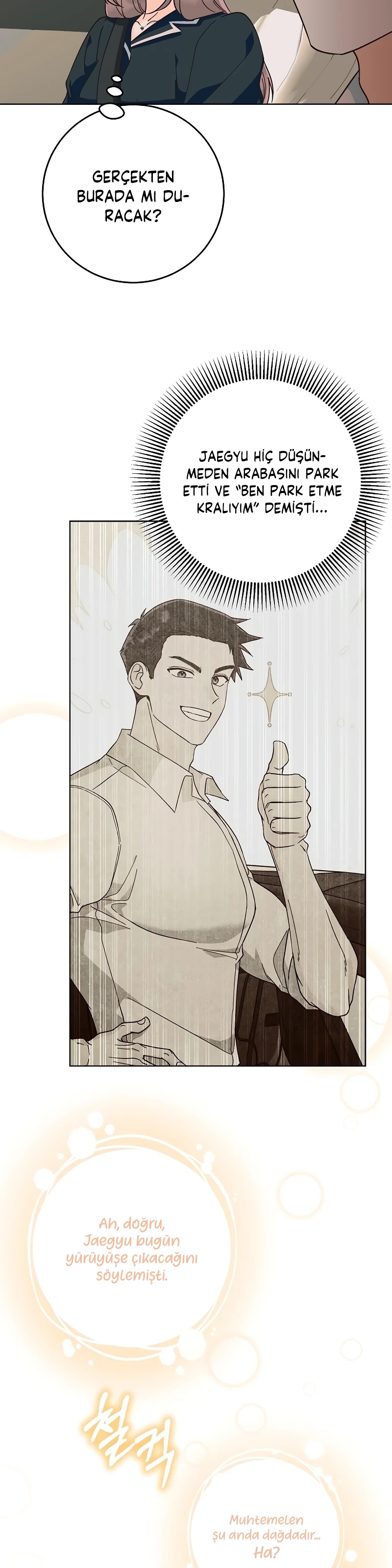 Bahar Ateşi Bölüm 20 - Sayfa 13