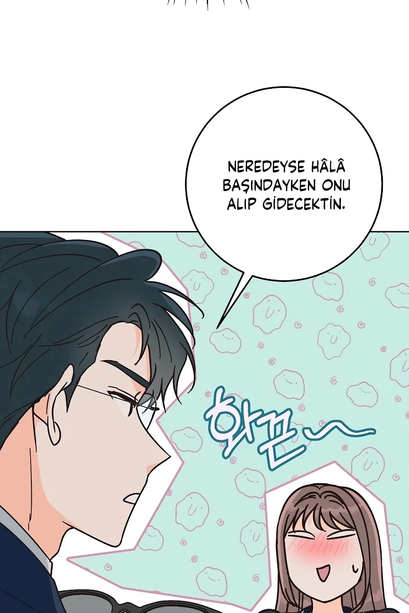 Bahar Ateşi Bölüm 20 - Sayfa 17