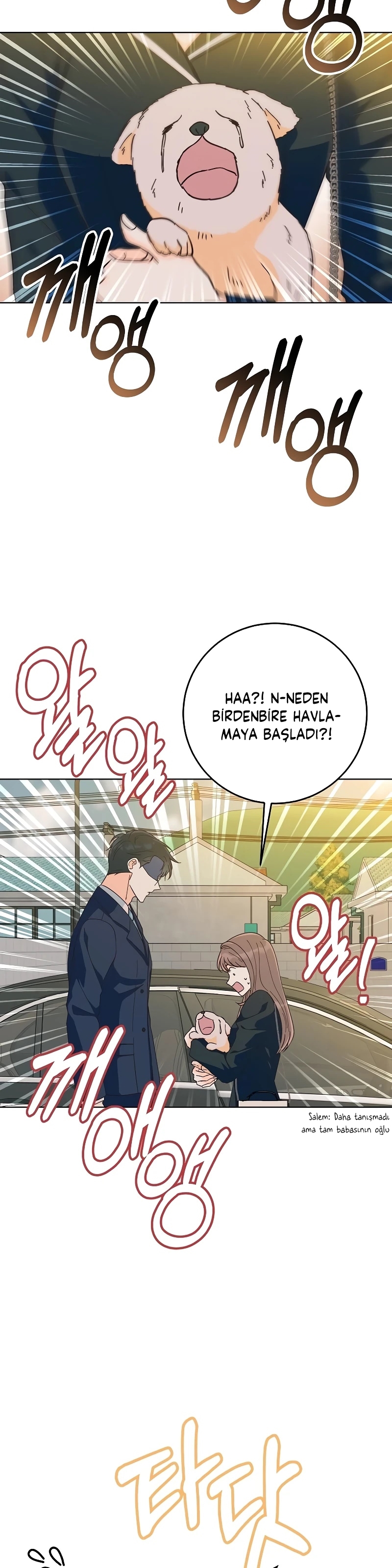 Bahar Ateşi Bölüm 20 - Sayfa 20