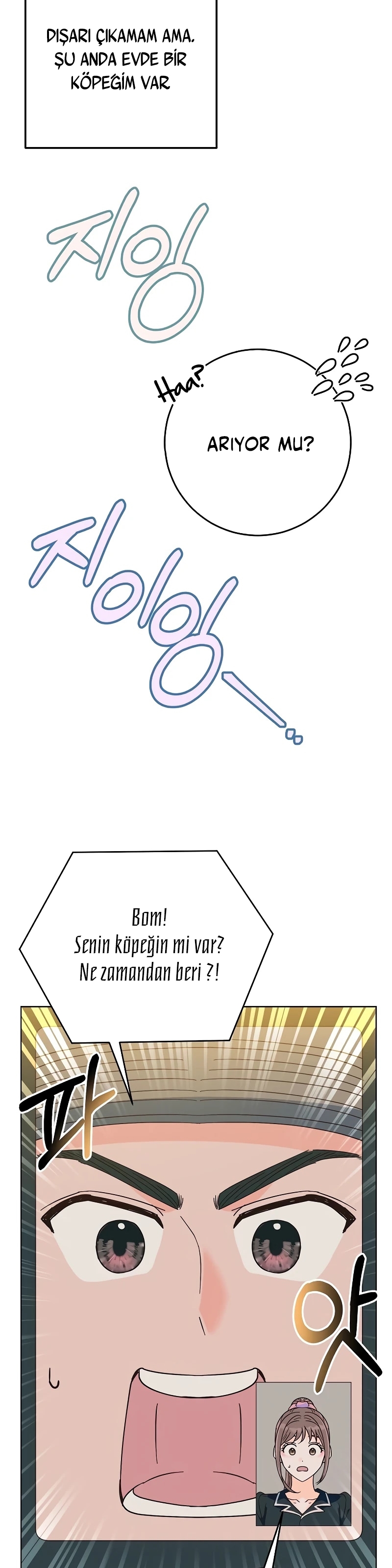 Bahar Ateşi Bölüm 20 - Sayfa 26