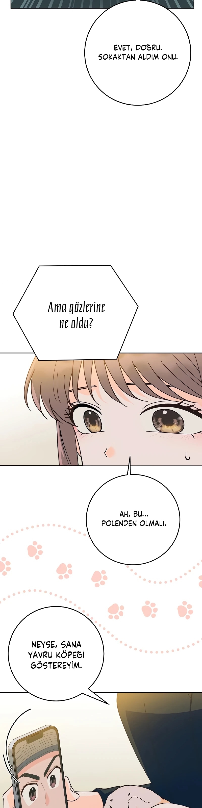 Bahar Ateşi Bölüm 20 - Sayfa 27