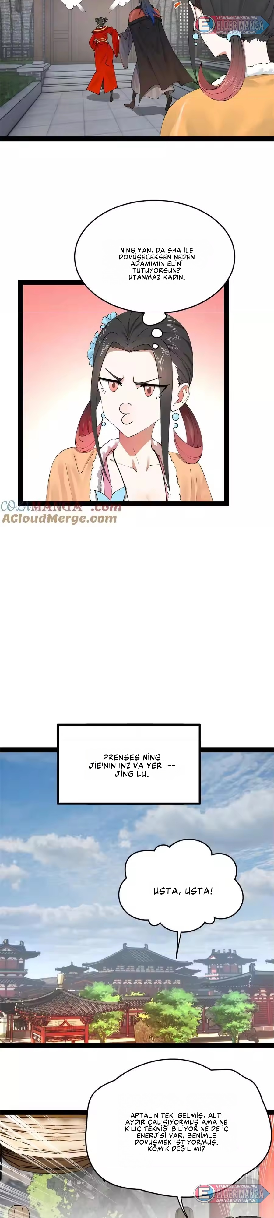 Dünyanın En Güçlü Eniştesi Bölüm 203 - Sayfa 17