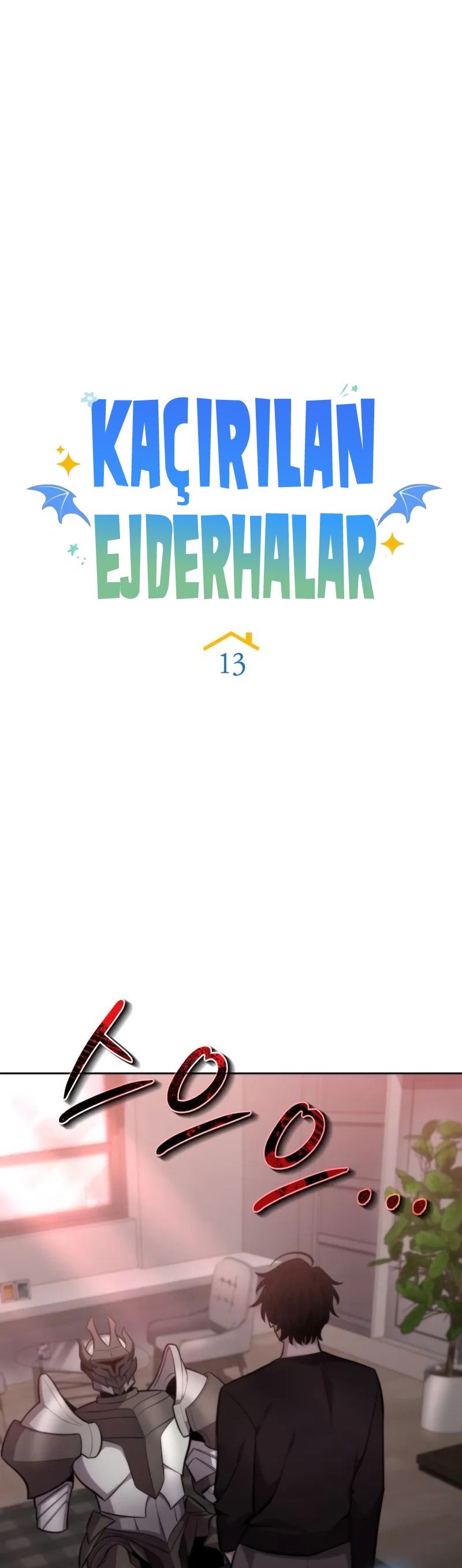 Kaçırılan Ejderhalar Bölüm 13 - Sayfa 15