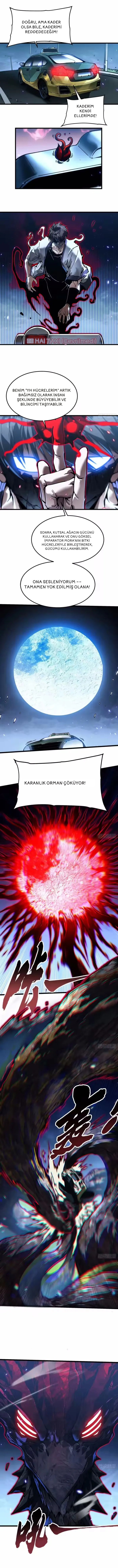 Savaşçı Evrimi: Canavarlar Kralının Uyanışıyla Başlangıç Bölüm 108 - Sayfa 4