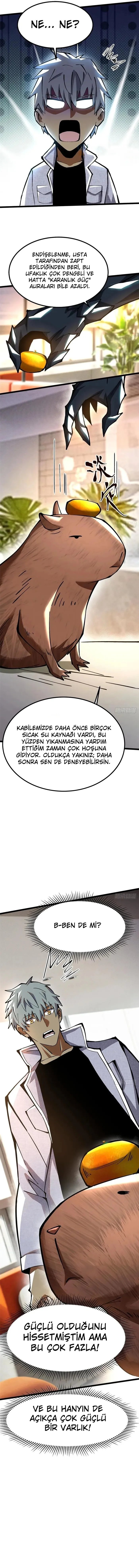 Yasaklı Büyüleri Öğrenmeyi Gerçekten Hiç İstemiyorum Bölüm 86 - Sayfa 5